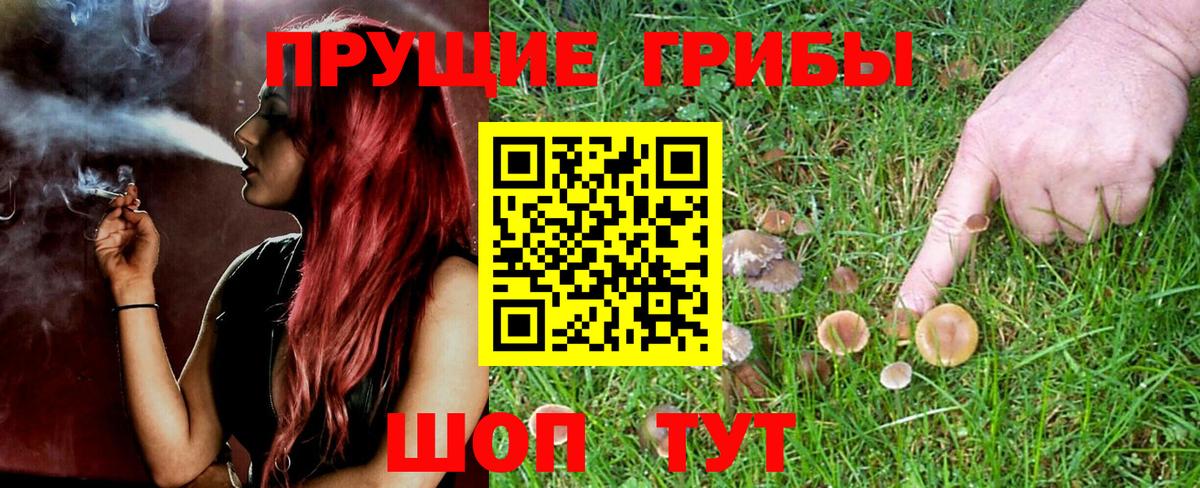 Галлюциногенные грибы мицелий  Псилоцибиновые грибы Cubensis  Вход с VPN  Каспийск 