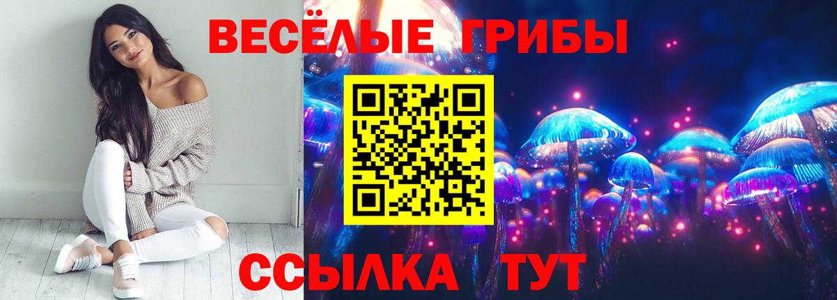 Псилоцибиновые грибы мицелий Каспийск